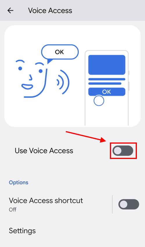 Tap the toggle switch for Use Voice Access